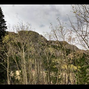 Meet your Posher, Ella